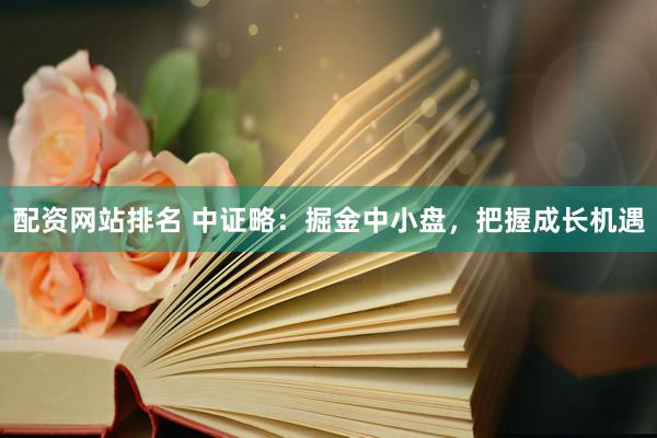 配资网站排名 中证略：掘金中小盘，把握成长机遇