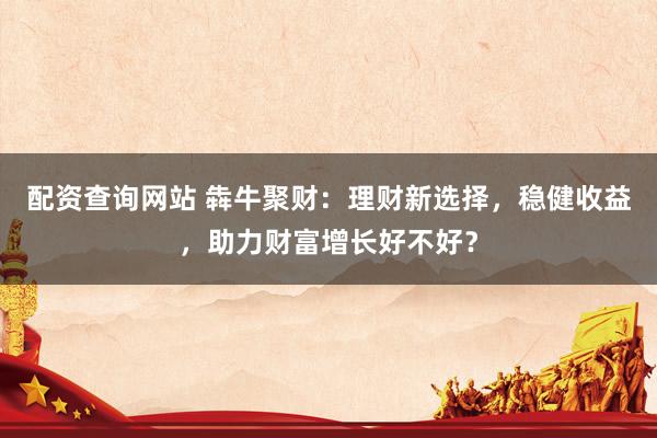配资查询网站 犇牛聚财：理财新选择，稳健收益，助力财富增长好不好？