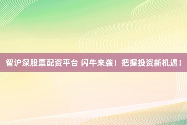 智沪深股票配资平台 闪牛来袭！把握投资新机遇！
