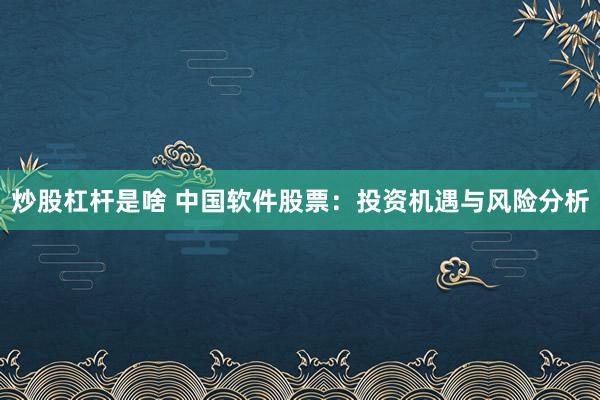 炒股杠杆是啥 中国软件股票：投资机遇与风险分析