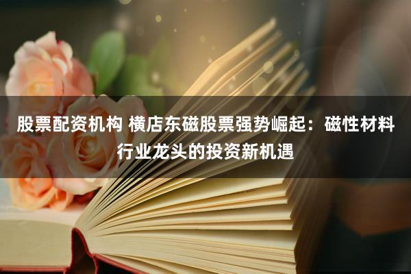 股票配资机构 横店东磁股票强势崛起:磁性材料行业龙头的投资新机遇